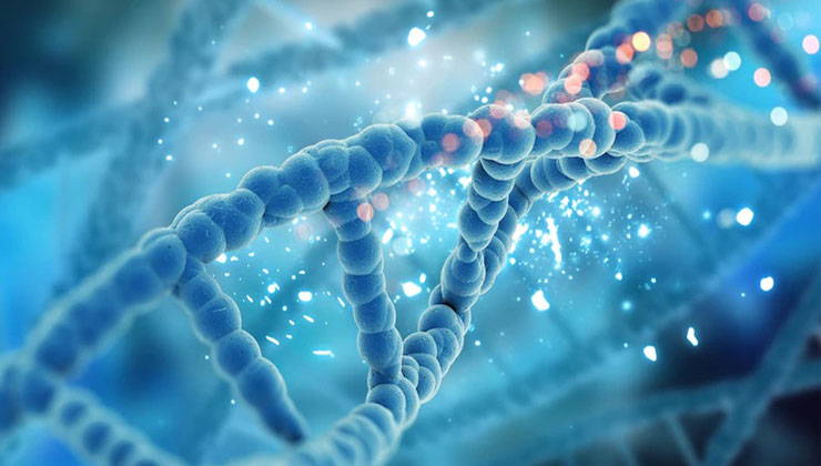 چگونه DNA را کشف کردیم